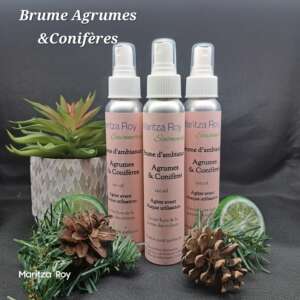 Brume d'ambiance Agrume & Conifère