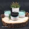 Bougie Sapin de Noel – Image 2